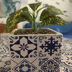 La Casa A Mare بيت للعطل *